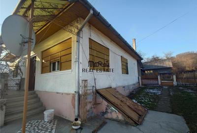 Casă cu 3 camere cu Teren 4977 Mp în Brad - 9