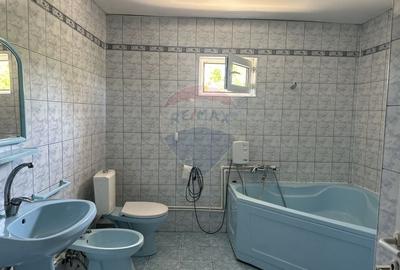 Casa spatioasa in Ciritei, gata de mutat - 16