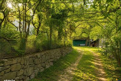 Casă cu 3 camere în Mislea - 3