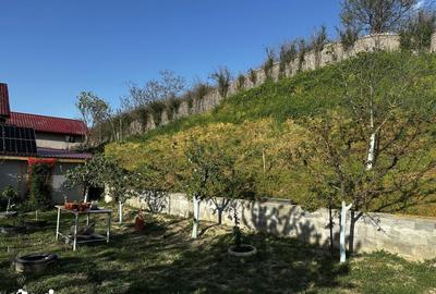 Casă cu 5 camere cu Teren 2166 Mp în Somova - 1