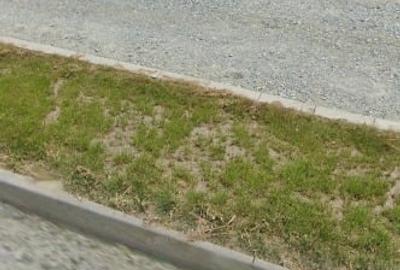 Teren Construcții intravilan de 3000 mp, în Măgureni - 4