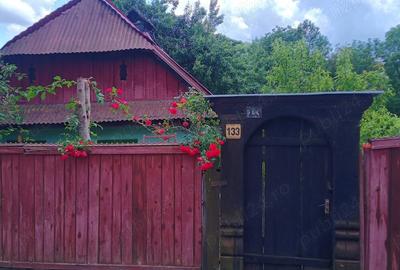 Casă cu 2 camere cu Teren 720 Mp în Bădeni - 1