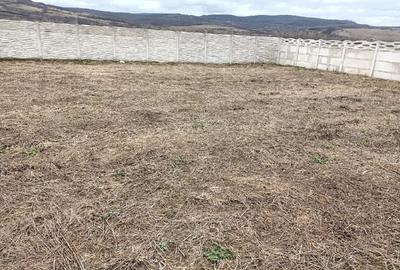 Teren de 500 mp, în Băcia - 4