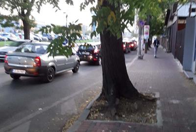 Spațiu comercial, de 34 mp, în Basarabia - 2