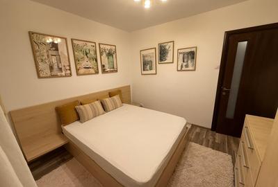 Tineretului Visana, bloc 1981, renovat complet, mobilat - 11