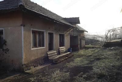 Casă cu Teren 1900 Mp în Pocruia