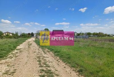 Teren de 520 mp, în Săbăreni