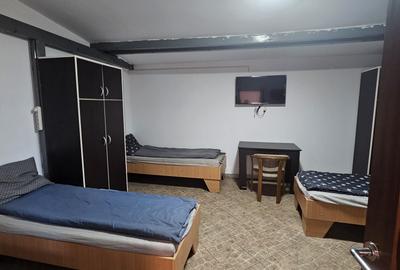 Proprietate speciala Dumbravita - casa individuala !! - 18