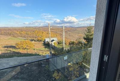 Casa Hlincea Ciurea Biserica Sf. Gherasim de Kefalonia - 3