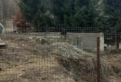 Casă cu 2 camere în Chiuzbaia - 4