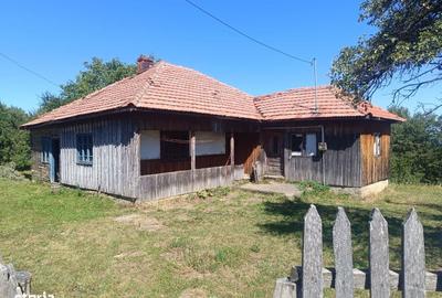 Teren de 10378 mp, în Brebu