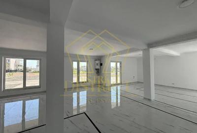 SAD 50-100mp VAD comercial | Dumbravita - 4
