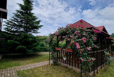 Casă cu 4 camere în Tamași - 6