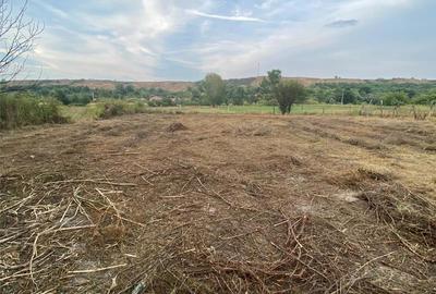 Casă cu 6 camere cu Teren 3400 Mp în Sprâncenata - 8