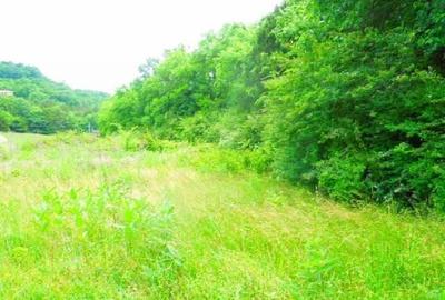 Teren de 3000 mp, în Exterior Vest - 2