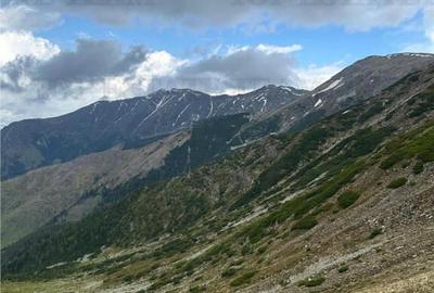 SUPER OPORTUNITATE, DE VANZARE O PROPRIETATE SPECIALA, MUNTE - 14