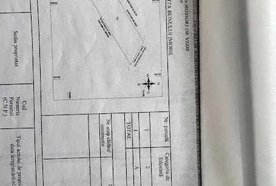 Teren de 10000 mp, în Vest - 3