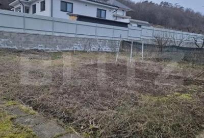 Casă cu 7 camere cu Teren 1359 Mp în Unirii - 14