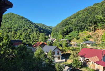 Ilba, casa caramida, 40 ari teren - 2