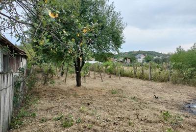 Casă cu 3 camere în Exterior Vest - 14