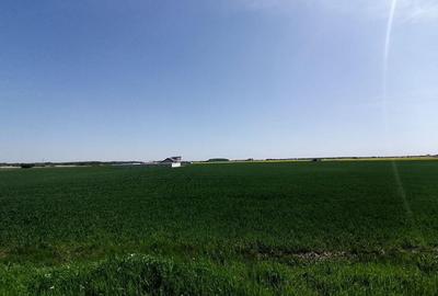 Teren intravilan 9313 mp in comuna 1 Decembrie - Ilfov - 2