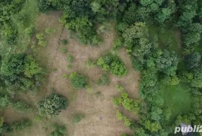 Teren de 4380 mp, în Nicolaești - 5