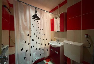 Exclusivitate - Bd. Ferdinand, apartament 2 camere, 3 balcoane, centrala gaz - 15