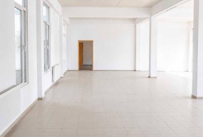 Spațiu comercial, de 663 mp, în Mehala - 2
