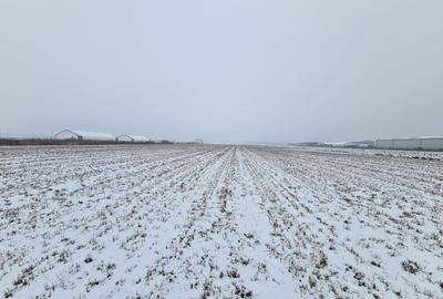 Teren Construcții intravilan de 20000 mp, în Stupini - 1