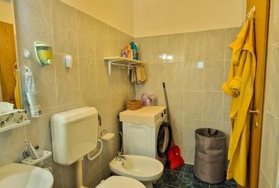 Apartament cu 3 camere decomandat, mobilat în Gării - 10