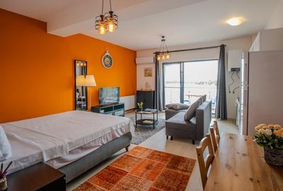 Garsonieră cu Balcon de Închiriat la Lakeview Residences Snagov - 2