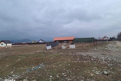 Teren de 1450 mp, în Tărlungeni - 12