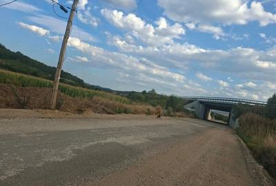 Teren de 2402 mp, în Apoldu de Jos