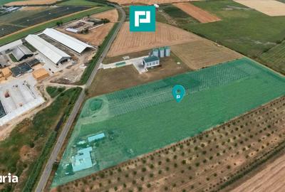 Teren de 36000 mp, în Central