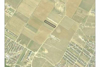 Teren Construcții intravilan de 10000 mp, în Dobroești - 3