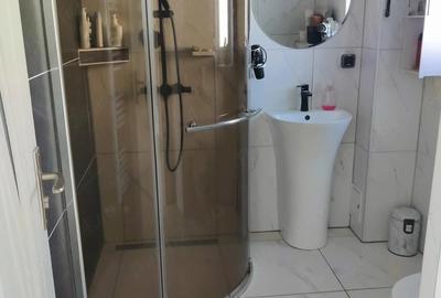 Casă cu 3 camere cu Teren 250 Mp în Budiului
