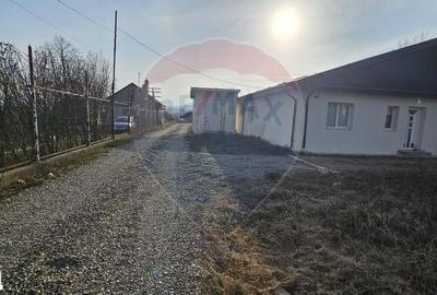 Teren de 1000 mp, în Hemeiuș - 2