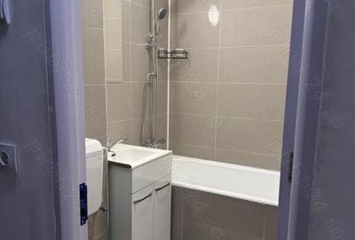 Colentina teiul doamnei metrou obor - 16