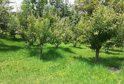 Teren Construcții intravilan de 1630 mp, în Central