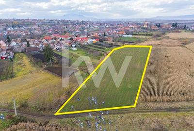 Teren 10000 mp in Extravilan, Bod, Brasov- COMISION 0% - 3