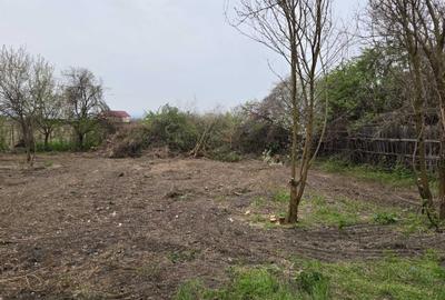Casă cu 4 camere în Buhoci - 15