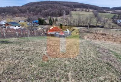 Teren intravilan de vânzare , 3600 mp – Piatra Neamț, zona Balaur - 9