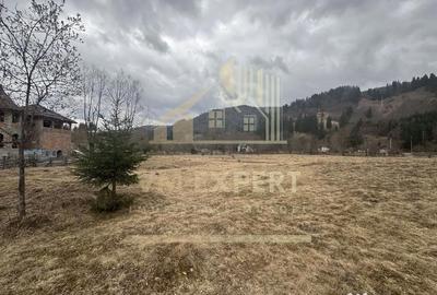 Teren de 7040 mp, în Sătic - 13