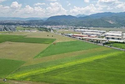 Teren de 26000 mp, în Bartolomeu