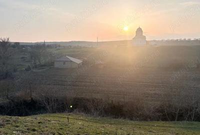 Casă cu Teren 6294 Mp în Cerbu - 5