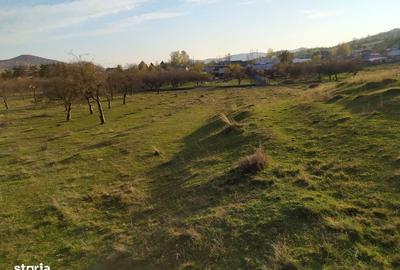 Spațiu comercial, în Voila - 15