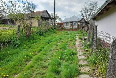 Casă cu Teren 3096 Mp în Boianu Mare - 2