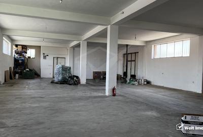 Showroom cu depozit, acces TIR, str Plevnei zona Sanex - 2