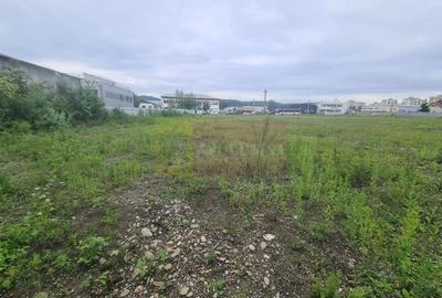 Teren intravilan de vanzare in Campina - 6