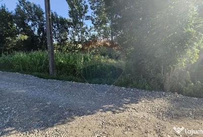 Teren de 7500 mp, în Moara - 12